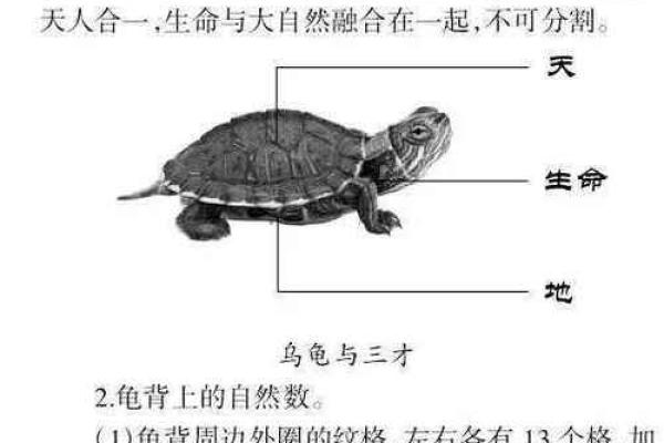伏羲文化的起源与河图的神秘传承