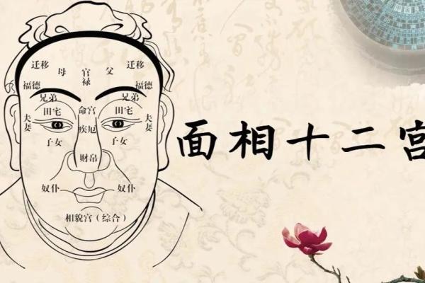 面相揭秘：象脸人的运势与性格解码