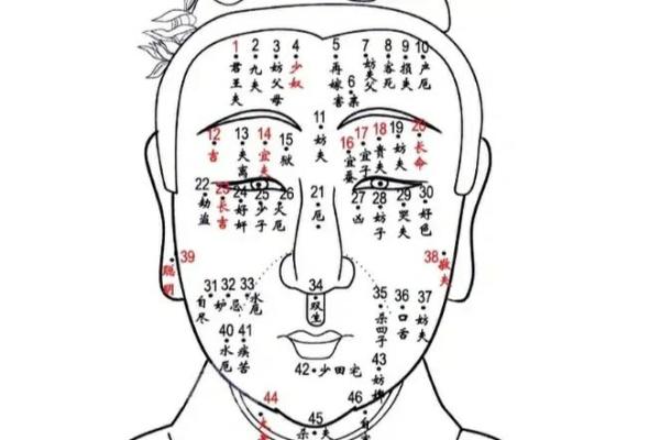 大腿内侧痣与命运：神秘面相背后的奥秘