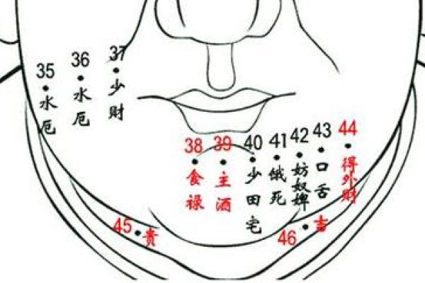 大腿内侧痣与命运：神秘面相背后的奥秘