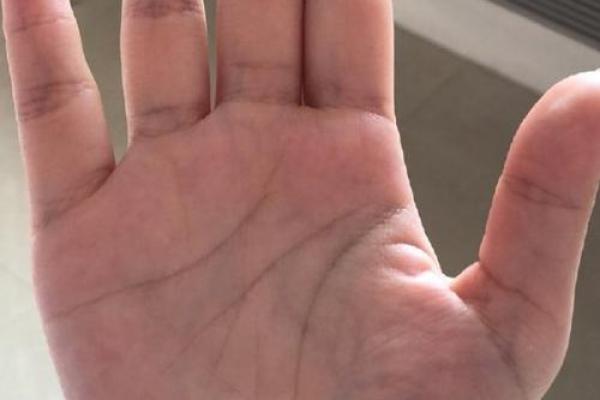 解锁手相奥秘，缘分薄上现未来伴侣