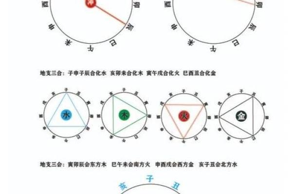 深入了解地支依次相克的奥秘
