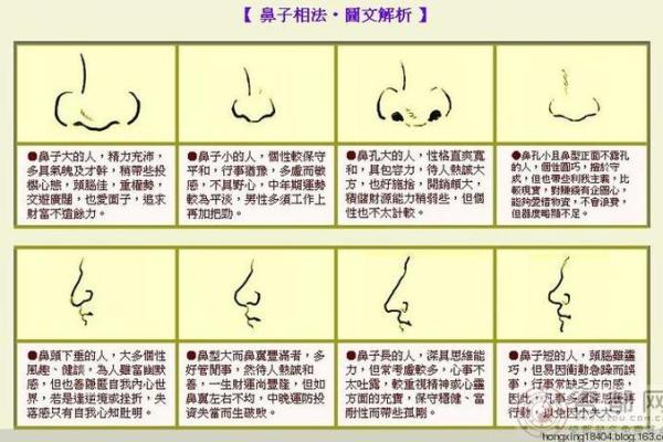 直鼻映瑞气，面相之中显富贵