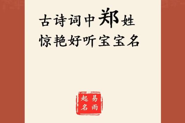 郑氏宝宝，名扬四海