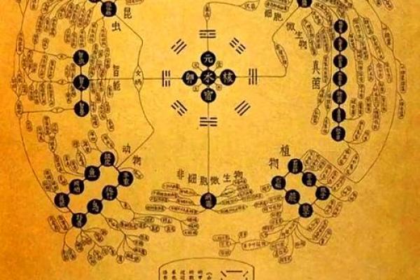 古代风水学的起源与演变历程