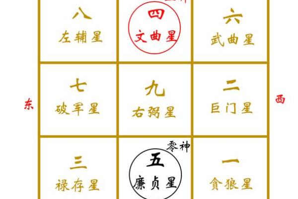 风水住宅有小猪圈？揭秘财运亨通的神奇布局
