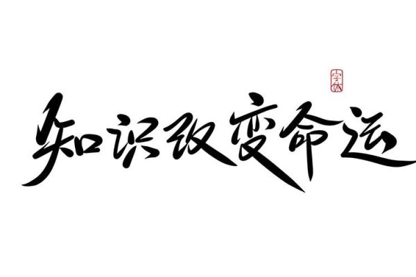 杨文艳：文采飞扬，艳丽人生，命运璀璨之选