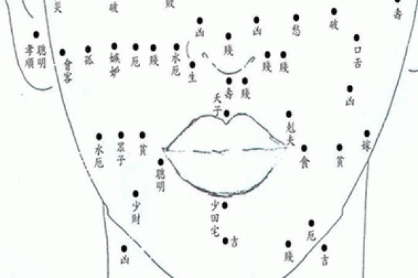 肚痣：女人的秘密花园，命运的印记