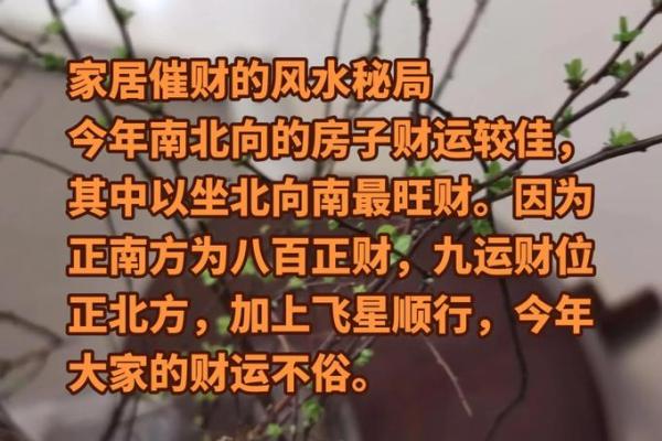 家居风水秘籍：打造财运亨通、福星高照的完美布局