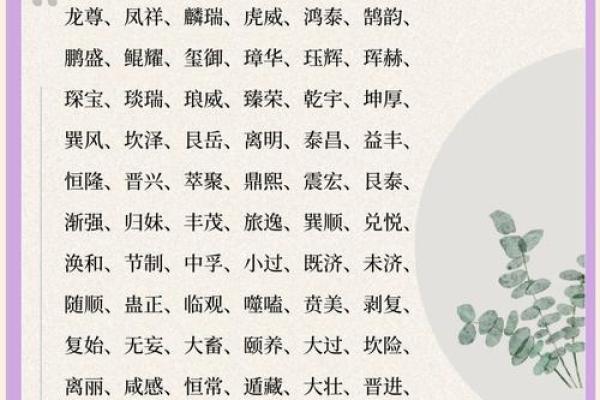 免费起名平台助力法人公司打造个性化企业名称