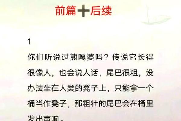 吉祥熊名字背后的寓意与故事