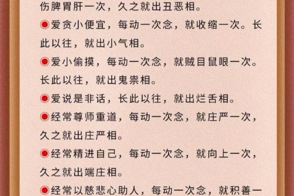 善字五行属什么？揭开背后的秘密