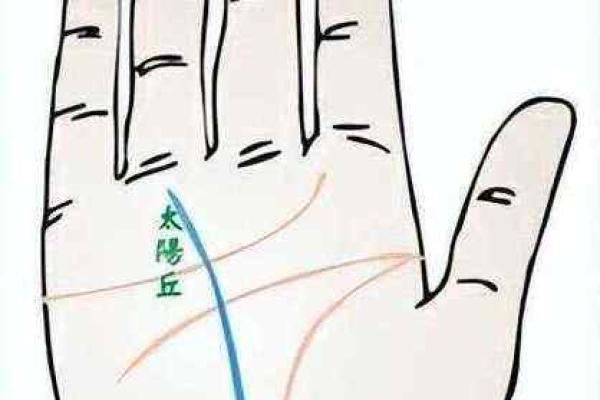 名誉线揭秘：手相中的荣耀轨迹