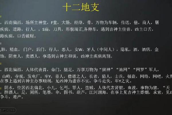 地支象意的深层解读