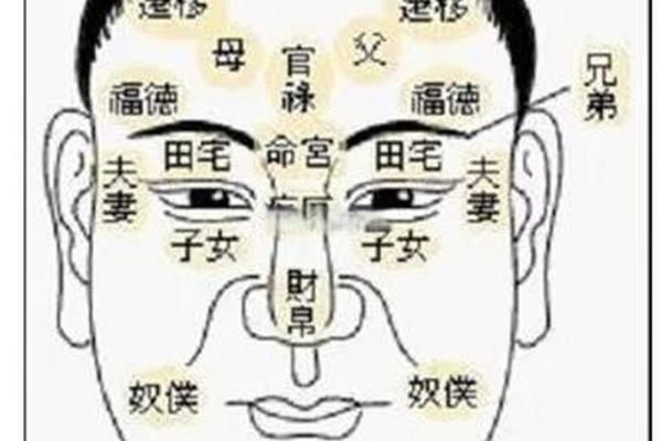 面相解析：适中面相的神秘魅力