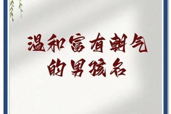 烁光男孩：姓名中的阳光与活力