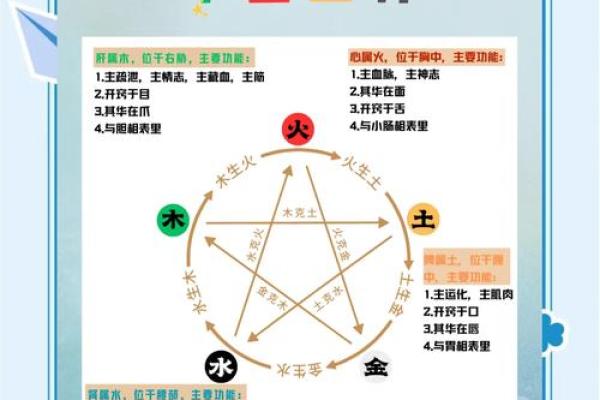 左五行在五行中的地位及其作用分析