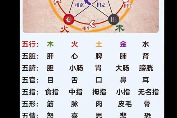 左五行在五行中的地位及其作用分析