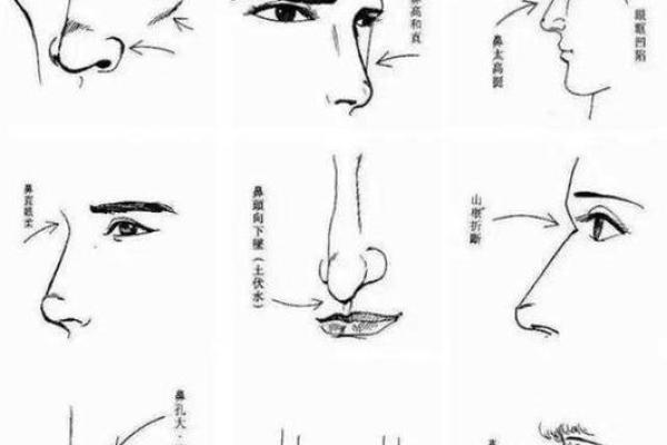 面部风水学解析：鼻子的形态与财运的关系