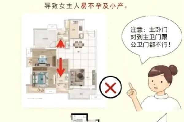 家居风水布局：女主人的美丽家居指南