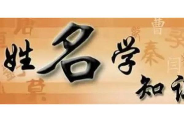懿杨之韵：优雅与阳光并存的姓名运势解析