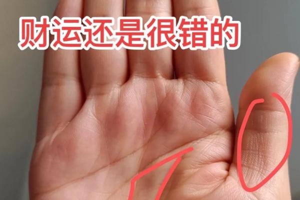 人字掌纹揭秘财运密码