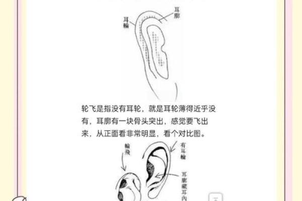 耳轮反面观相之秘