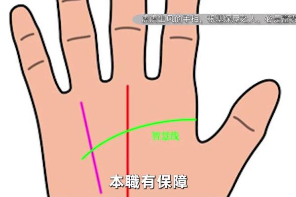 金星环纹：揭秘手掌中的富贵密码