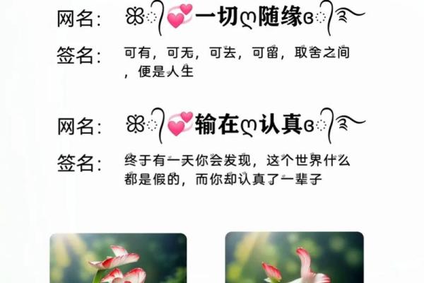 冷艳名字女：展现独特魅力的女性命名艺术