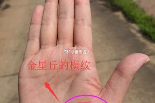 手相大师揭秘：金星纹的运势秘密大公开