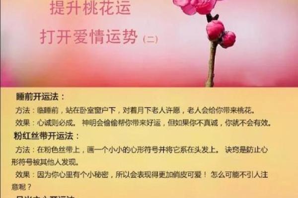 爱情风水宝典：招桃花，找真爱，你值得拥有