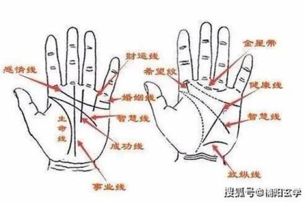 手相揭秘：女命婚姻吉凶，一看便知！