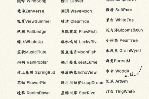 如何为公司选择一个独特的名字