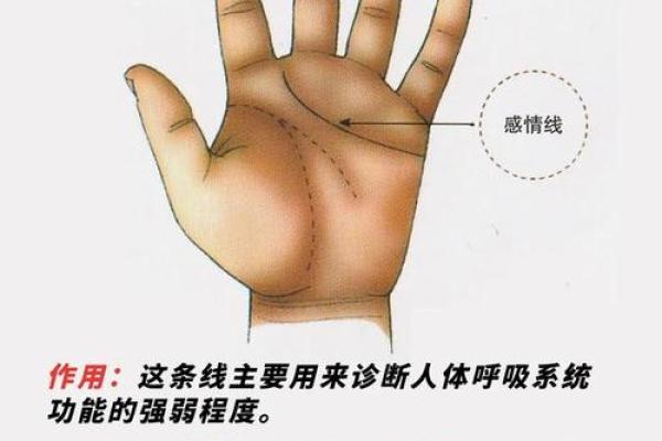 长寿密码：揭秘手相中的健康奥秘