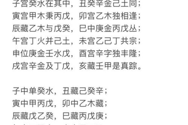 地支藏干气数与命理解析