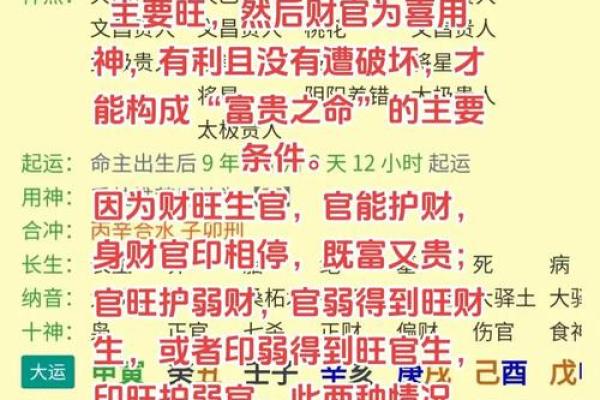 精准分析八字，解锁人生运势之门