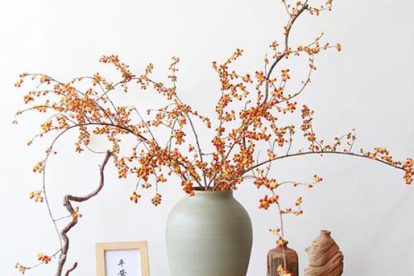 家居风水新潮流：干花点缀让你的家更温馨