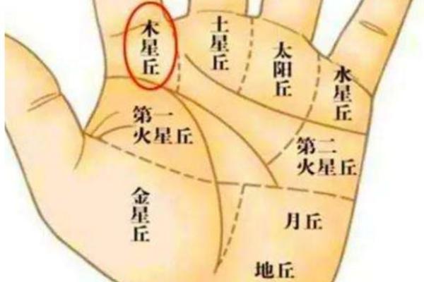 手上乾坤：男女手相生图，揭秘你的财运、健康与爱情