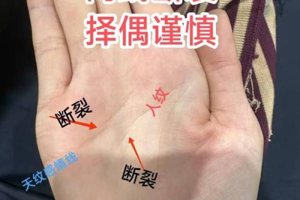 手相揭秘：揭秘婚姻运势的神奇秘密