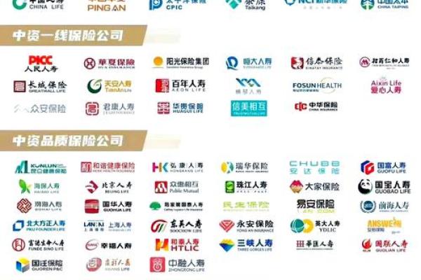保险公司新部门命名创意：如何为未来部门找到完美名字