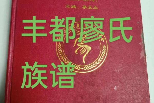 廖家宝贝命名灵感