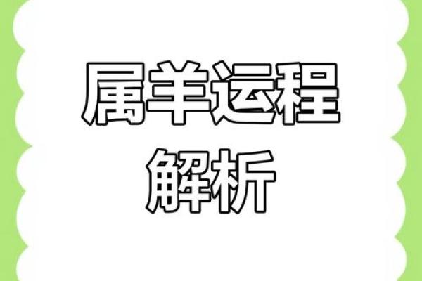 属羊人在的整体运势详解