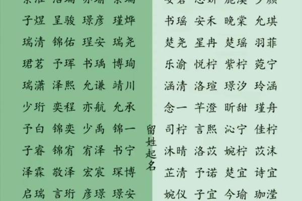 智能生辰八字命名软件，助你为孩子取个好名字