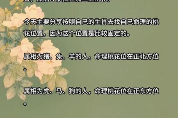风水大师亲授：家居风水布局摆法图片大全，助你招财旺运