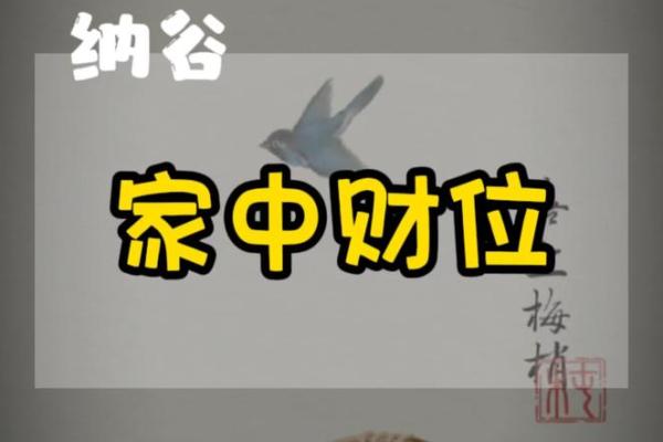 风水大师亲授：家居风水布局摆法图片大全，助你招财旺运