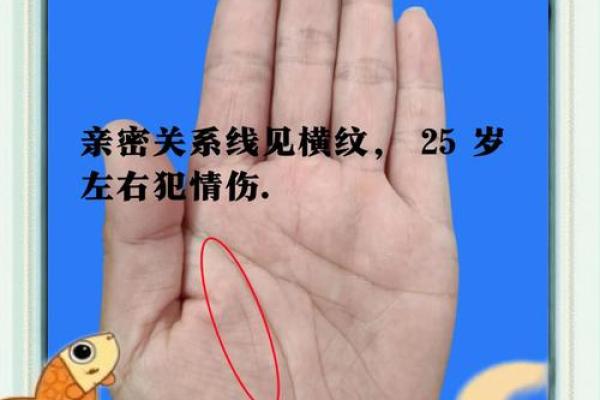 揭秘手相流年：命运轨迹尽在掌中