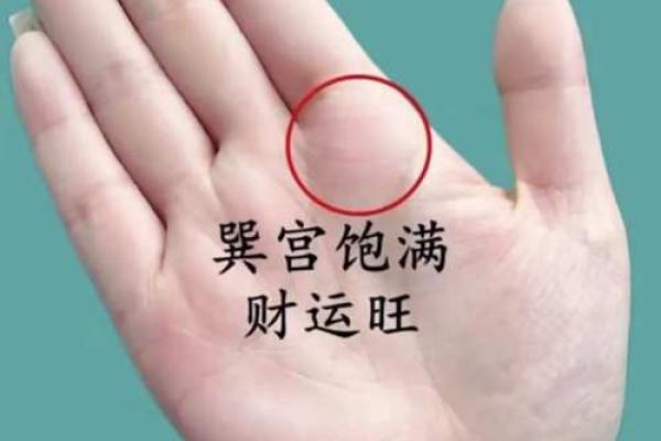 手相探秘:横穿命宫,运势大揭秘 手相探秘:横穿命宫,运势大揭秘