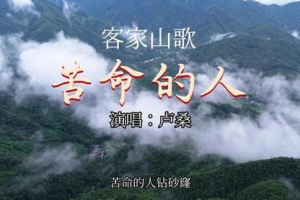 解析带叔名字的深层寓意与文化传承
