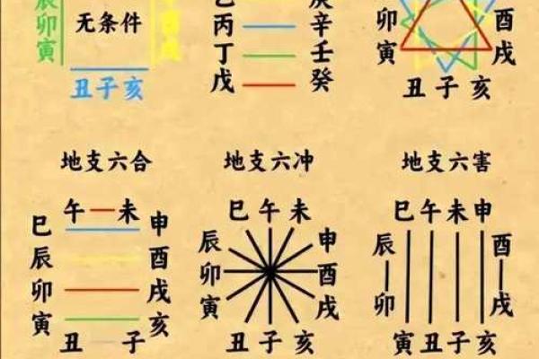 解读地支合冲害对命理的影响与表象