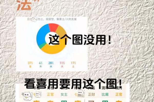 专业解析：如何判断五行属性